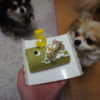 犬用ケーキ
